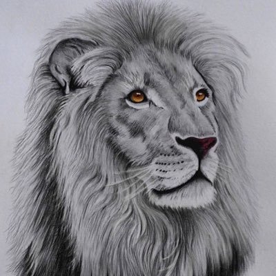 joestrades23's profile picture. Make 💰