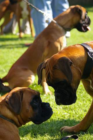 mmorenosg's profile picture. 