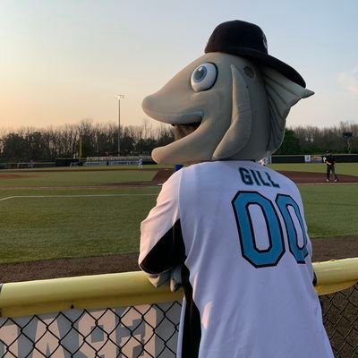 Lakeshore Chinooks Mascot of the Northwoods League. GET HOOKED! 🐟⚾️☀️🌊