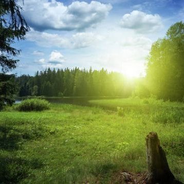 Traderk1836's profile picture. 