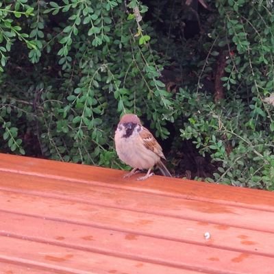 nuvuri's profile picture. 좋아요봇 소소하게 관극하는 연뮤덕 / 이런저런 글들 보고 쓰고 생각하고 생각만 많아지는 게 싫은 현실주의자