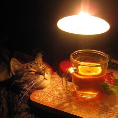 decccimal's profile picture. Refuge in the dust.