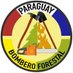 Bomberos Forestales PY (@pybomberos) Twitter profile photo