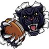PantherSprings's profile picture. Class 1A Iowa High School Football Team