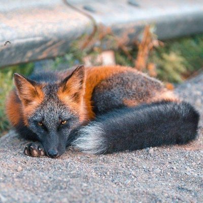 KingmaOfficial's profile picture. Nothing....