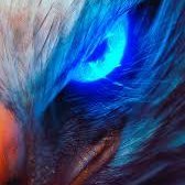 adler_mad's profile picture. Flying high in the Storm