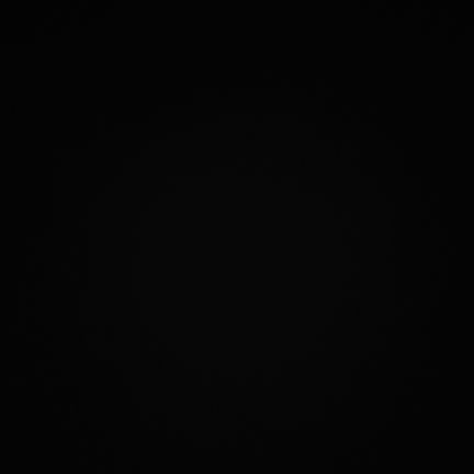 canktn's profile picture. 