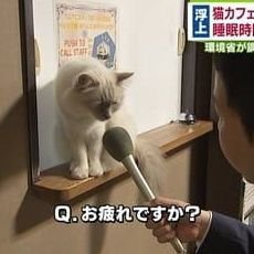 kanthichamap's profile picture. ทักมาเลยคั๊บเปลี่ยนให้ฟรีเปลี่ยนฟอนต์แอนดรอยด์บนตัวอย่างมือถือคัั๊บบบบ🌻