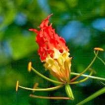 wasanth50841759's profile picture. 