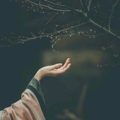 الله يجيب ذاك اليوم اليّ اقول فيه .. بعد الصبر نال قلبي مابغى❤️