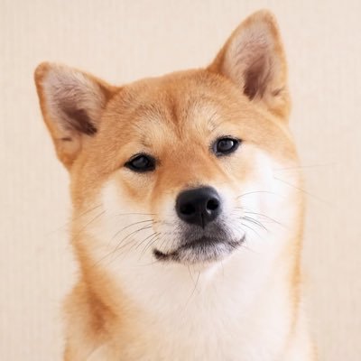 btsIs7alwys's profile picture. 