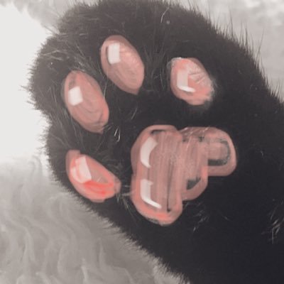 gaki_g's profile picture. 微妙なバイクや車。まったり的な遊び事に興味あり。最近は淡水魚系アクアリウムに奮闘中★看板やシート加工貼りの企画製作施工やってます。●黒猫ちゃんが家に居ります☆