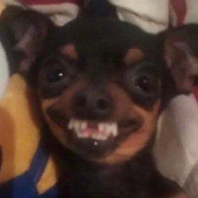 alexa81944271's profile picture. hi she/her