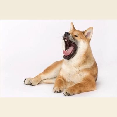 oEbfMHmEwEqFoQM's profile picture. まいど～(^-^)/