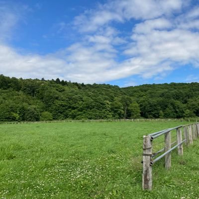 北海道浦河町にある引退馬を受け入れる養老牧場です🐴詳しくはHPをご覧ください。