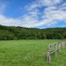 calmdaysfarm's profile picture. 北海道浦河町にある引退馬を受け入れる養老牧場です🐴預託馬受付中です。 お気軽にご相談下さい。