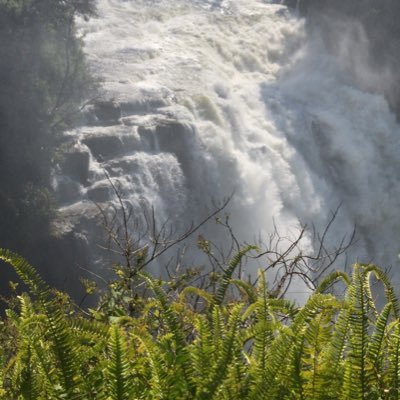 AshleySithole7's profile picture. World News History Politics News