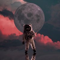 ViKi (@vkthecoder) 's Twitter Profile