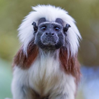 Proport96701864's profile picture. - Solution oriented
- Passionné par la nature humaine