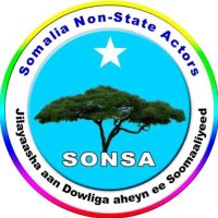 𝗦𝗢𝗡𝗦𝗔(@SONSA_NSA) 's Twitter Profile Photo