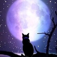 ランラン (@dgs1zxkxqf1b50u) Twitter profile photo