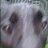 greg brulz (@b_rulz1982) Twitter profile photo