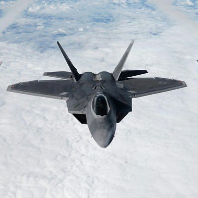 vale_raptor's profile picture. 