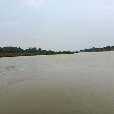 ttss2543's profile picture. 