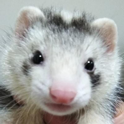 MarMar1332's profile picture. IPAの資格は現在レベル2。モータースポーツ大好き。2輪も4輪もいける。ここ2年くらいLINEマーケしかやってない気がする泣。マーケティング的な何かはほぼ呟きません。