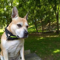 Don windy (@windy_don) 's Twitter Profile