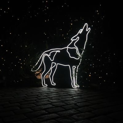 tanelho's profile picture. Now bring me that horizon