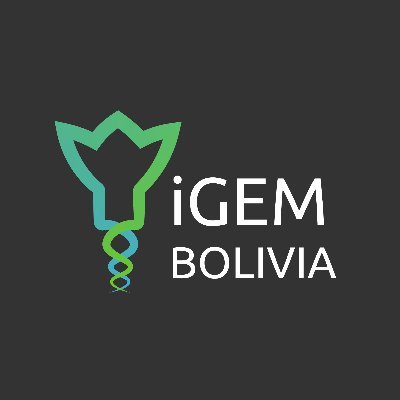 igemBolivia's profile picture. Somos un equipo multidisciplinario que trabaja para la biología sintética, la biotecnología y el desarrollo de la ciencia en Bolivia