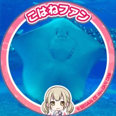 るまねさんのプロフィール画像