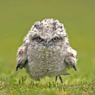 ihddcctt's profile picture.