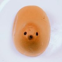 nanaco(@stellalala9x4) 's Twitter Profile Photo nanaco(@stellalala9x4) 's Twitter Profile Photo