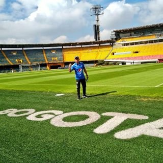 Bogotano, hincha de Millonarios. 
Amo los viajes y la buena comida.