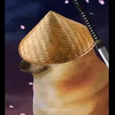 Me gustan los videojuegos y dormir