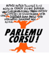 ParlemuCorsu's profile picture. Cullittivu chì adunisci aienti è associa, à prò di a criazioni d'una sucità bislingua corsu è francesu.