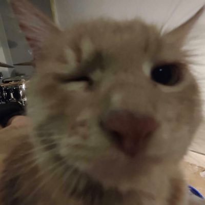 tasnjm2's profile picture. 