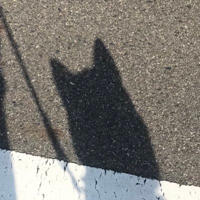 twiline_'s profile picture. 早寝早起きを心がけています