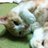 rieko_runrun's profile image
