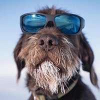 Skeleton Optics (@skeletonoptics) 's Twitter Profile Photo Skeleton Optics (@skeletonoptics) 's Twitter Profile Photo