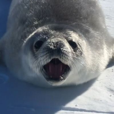 夜兎さんのプロフィール画像