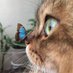 Morgan (@kangtoba) Twitter profile photo Morgan (@kangtoba) Twitter profile photo