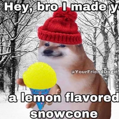 Temp06608520's profile picture. “It is only when a mosquito lands on your testicles that you realize there is always a way to solve problems without using violence”