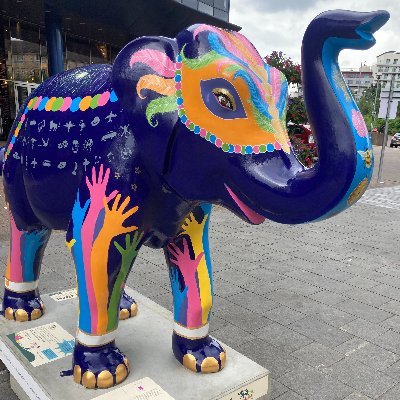 The official account from 'Shine Bright' - The Mall's Big Trunk Trail elephant. 

A day in the life of Shine Bright - herd straight from the trunk 🐘