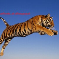 குடந்தை மணி (@manikandanqa) 's Twitter Profile
