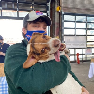 schaibills's profile picture. 