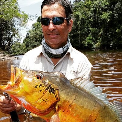 juninhomuzamba's profile picture. 