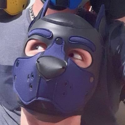 Hey hey hey ! 🐶
Honnestly...i dunno what to write...i'm juste an adorable dummy 😇 and i don't bite !...or just a little 😏